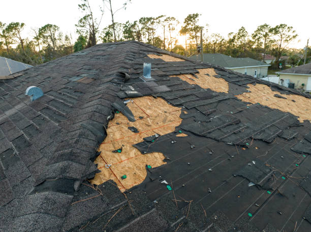 Gutter Replacement in Agua Dulce, TX