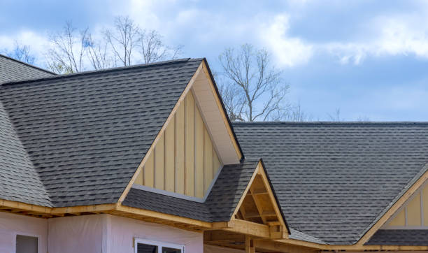 Best Asphalt Shingle Roofing  in Agua Dulce, TX