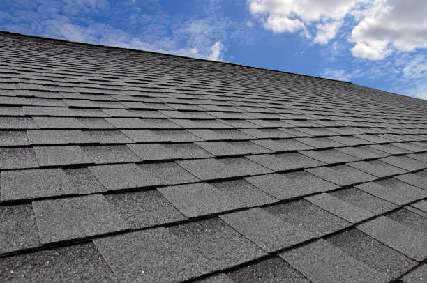 Steel Roofing in Agua Dulce, TX